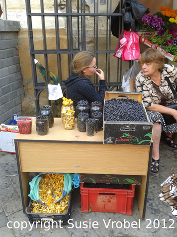 susie vrobel vilnius